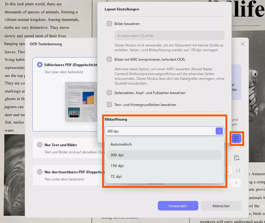 Bildauflösung Wählen