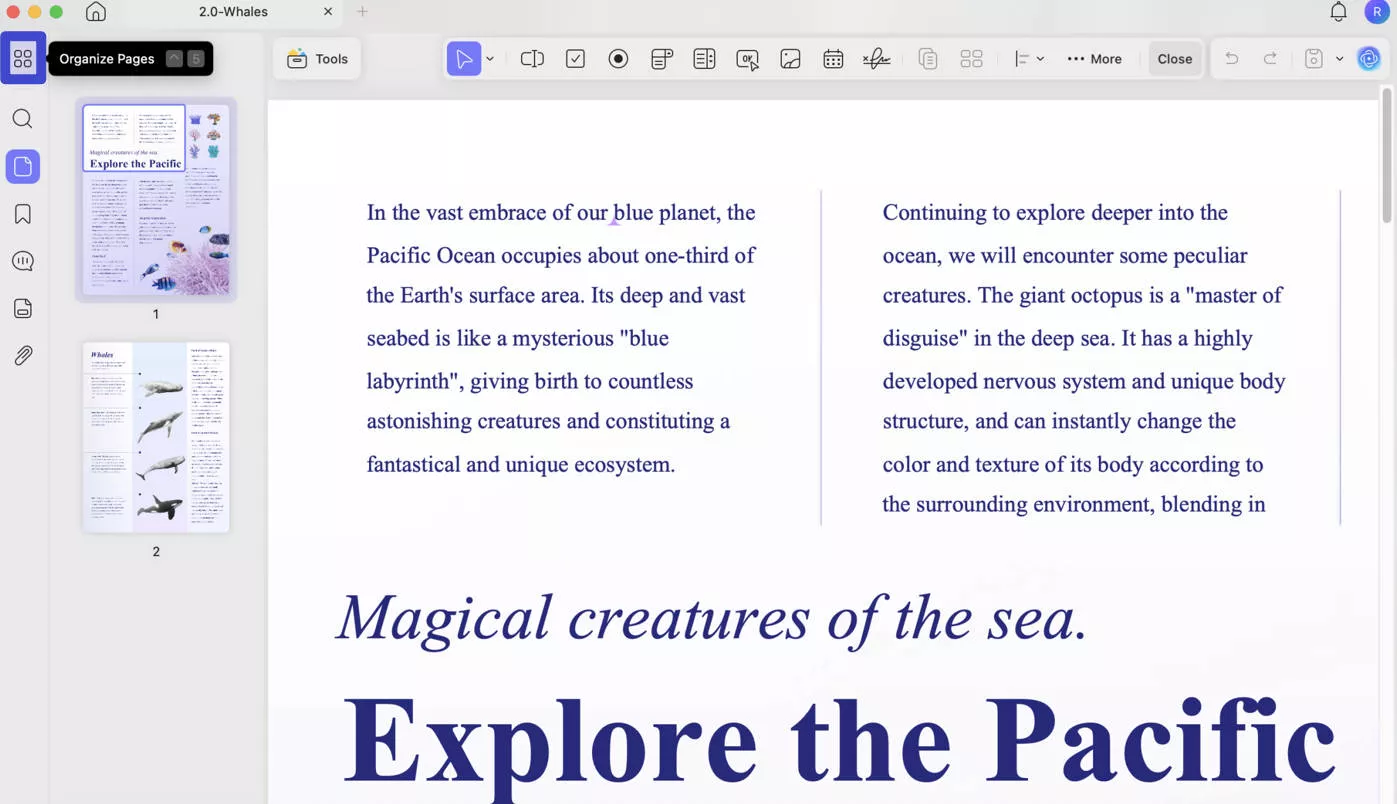 organize page