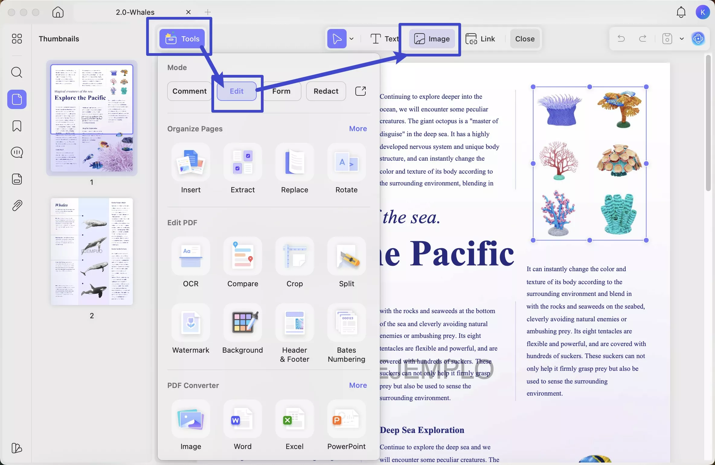 find image icon