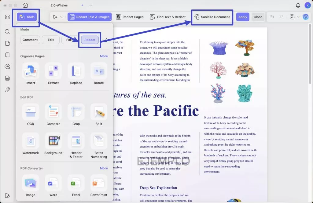 find sanitize document
