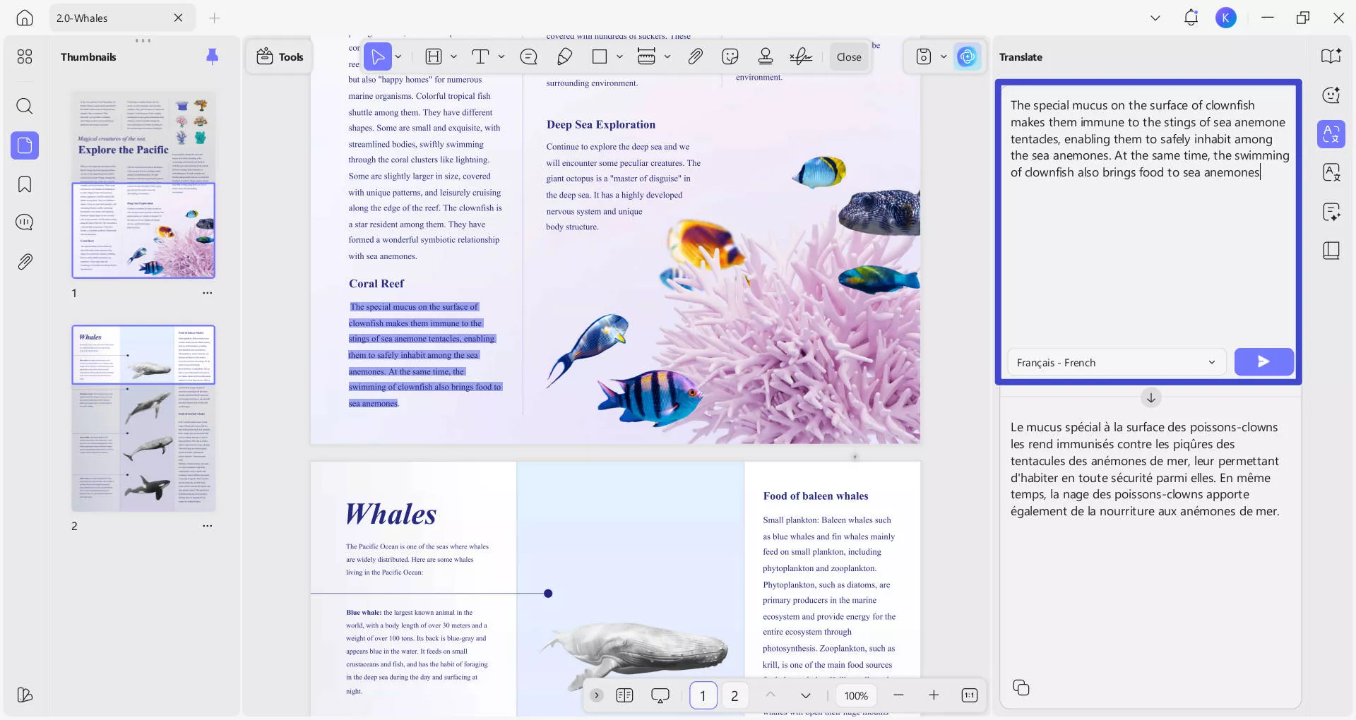 updf translation results