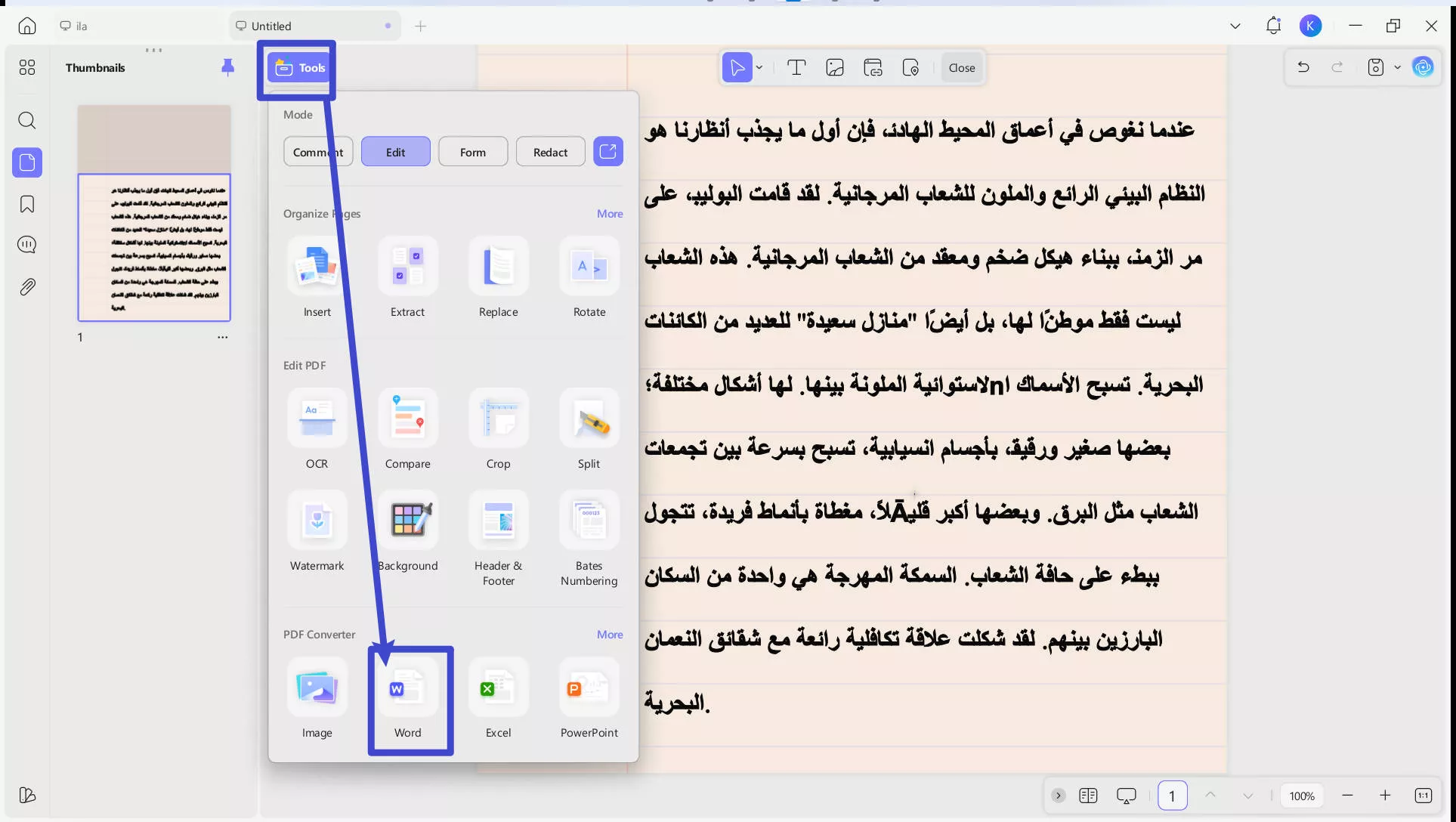 pdf to word arabic export to word