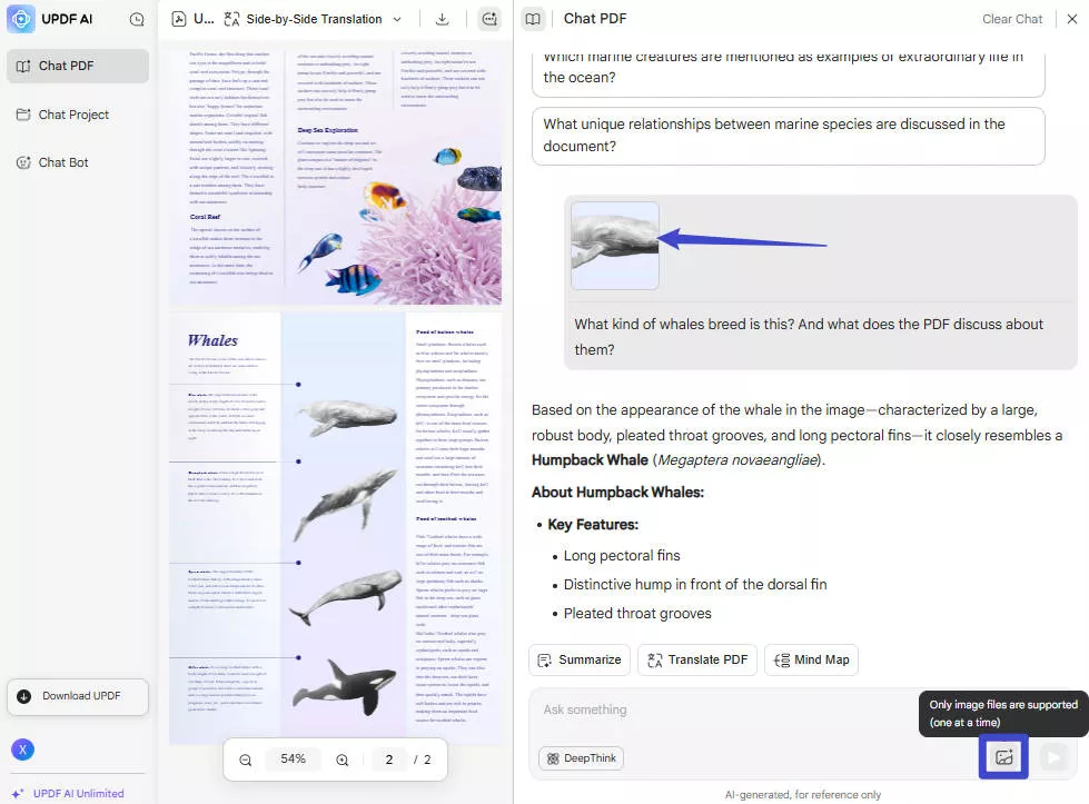 ask general pdf question