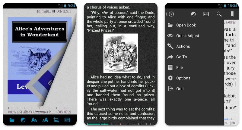 Lecteur de livres audio, AIReader