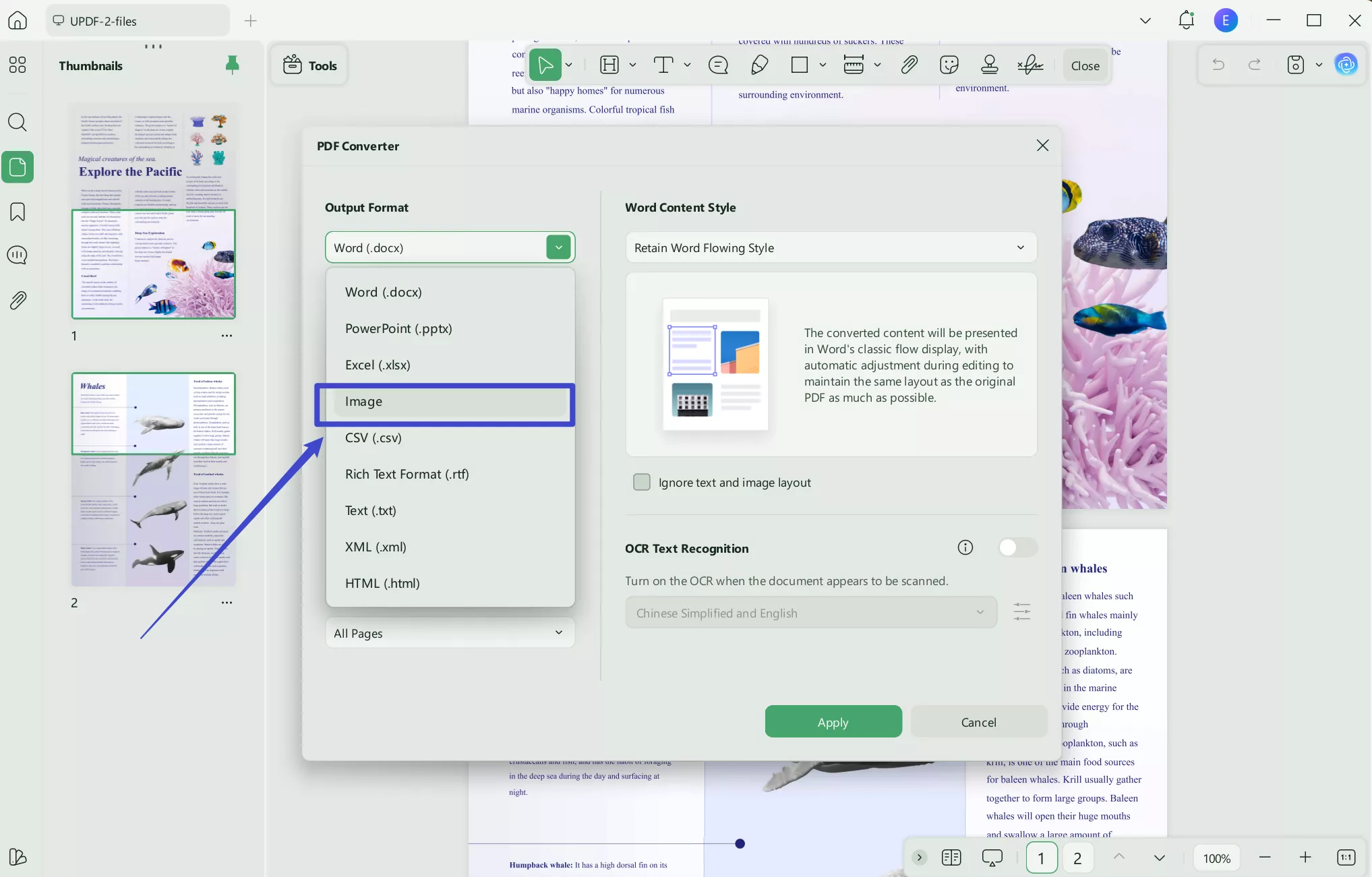 pdf to transparent png export to image
