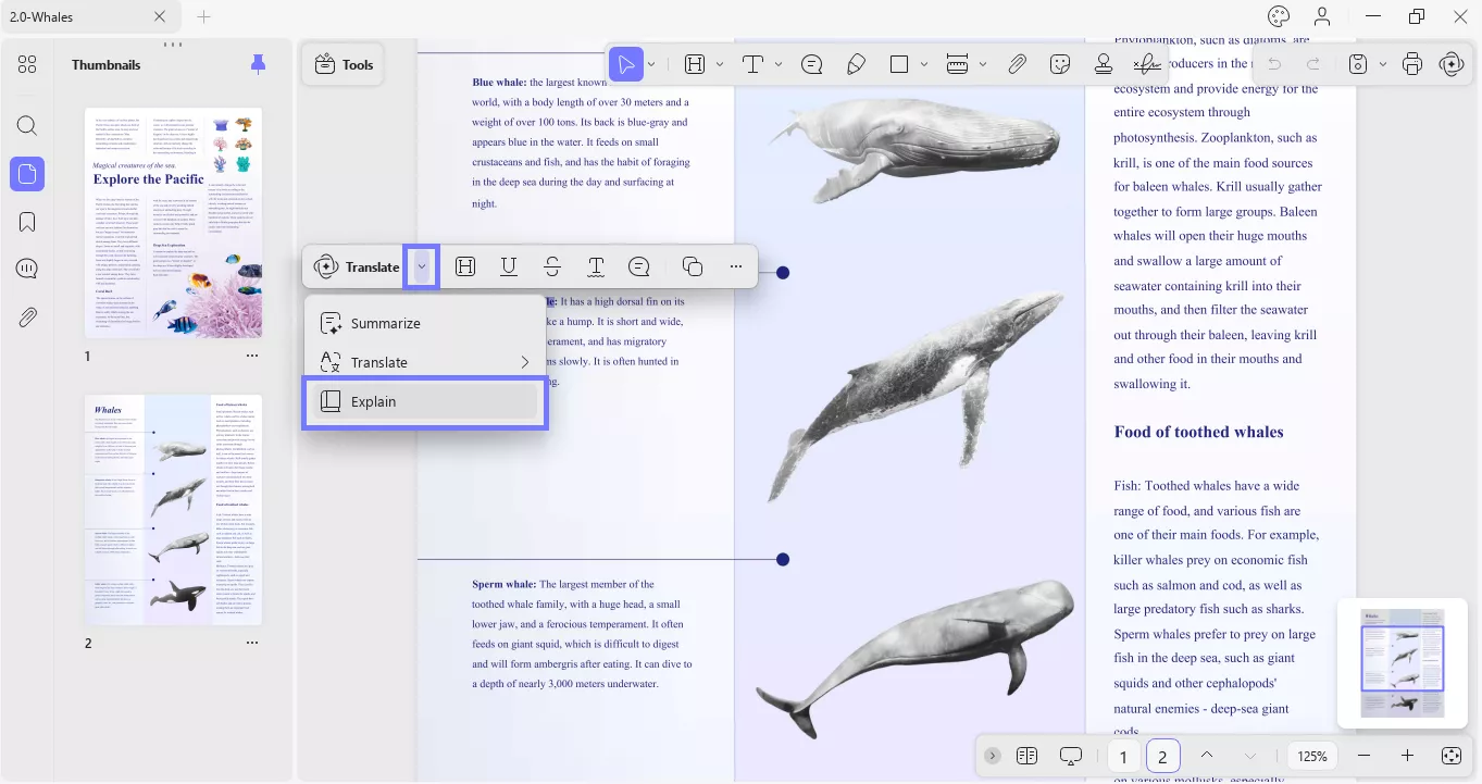 select the text and click explain