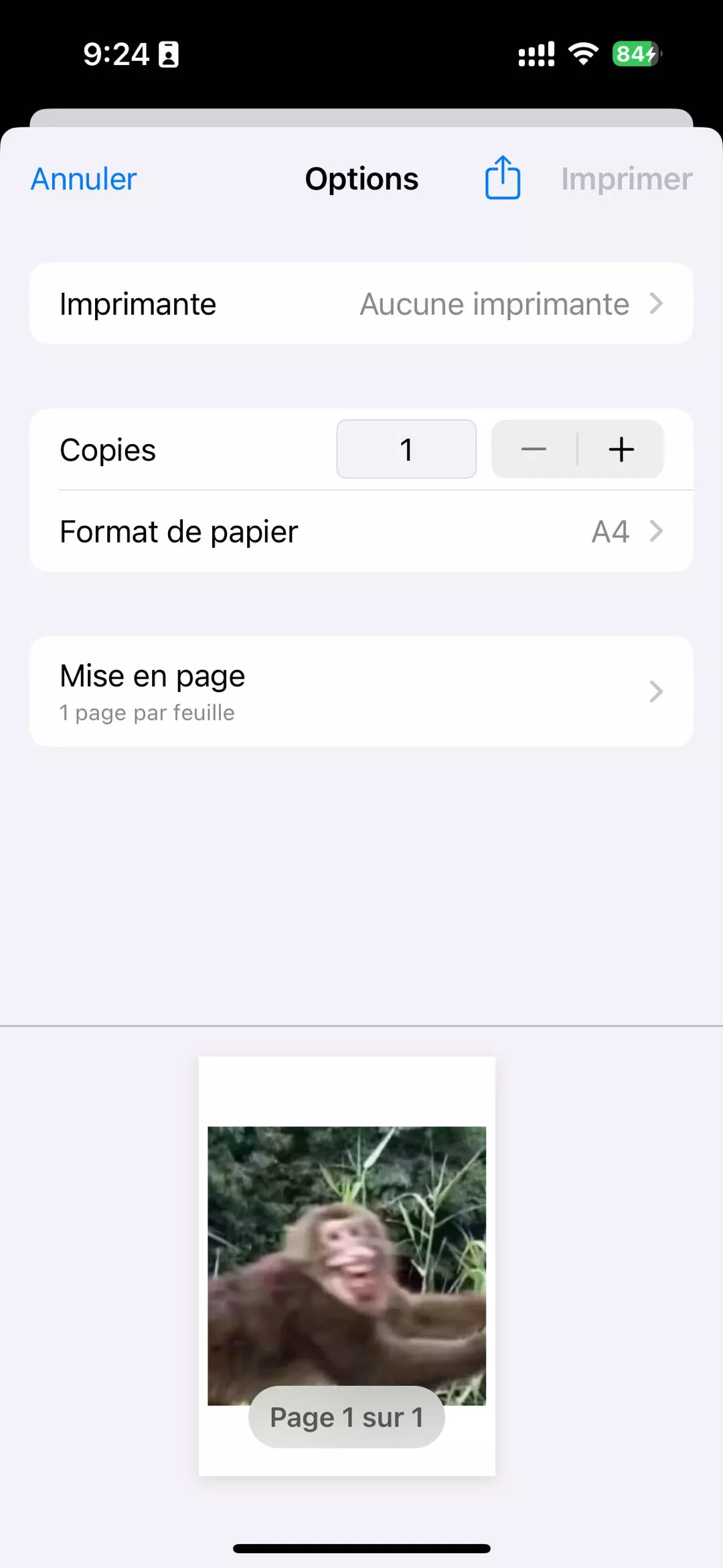 Comment transformer une photo en PDF sur iPhone