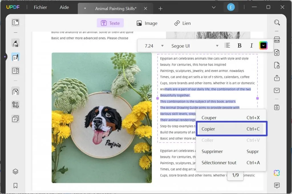 extraire du texte d'un pdf