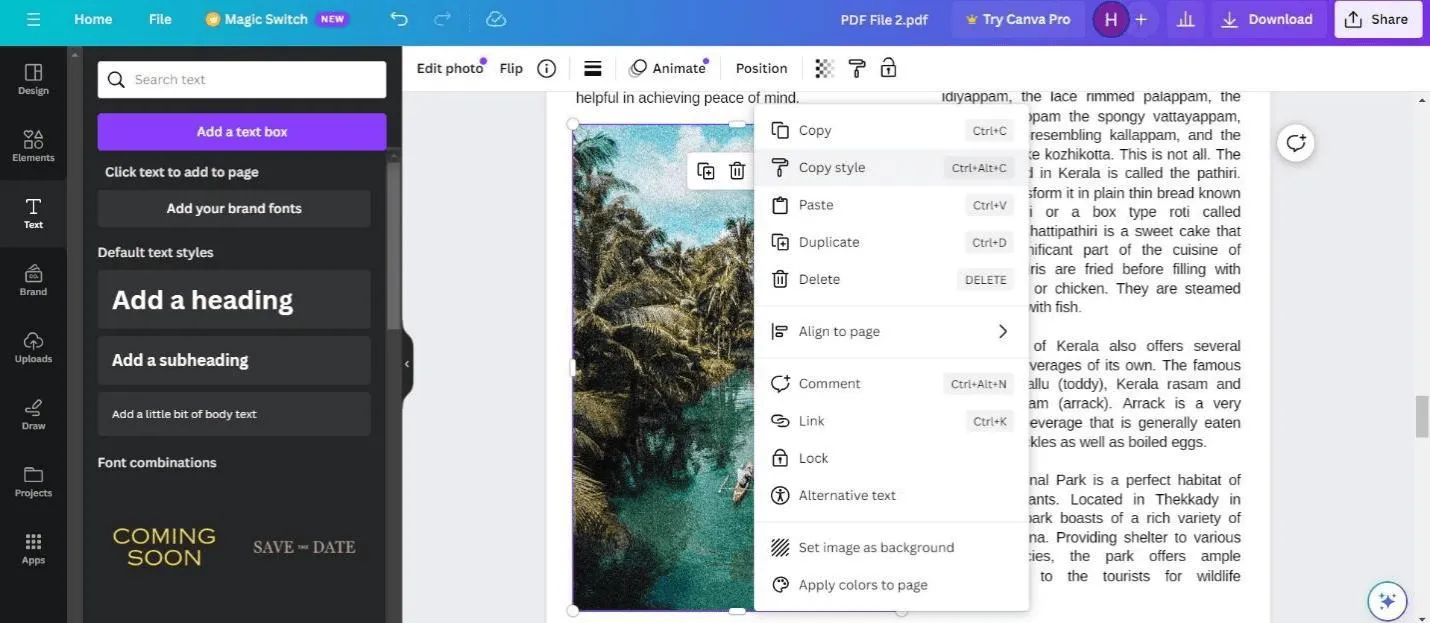 Editor de PDF de Canva: editar páginas