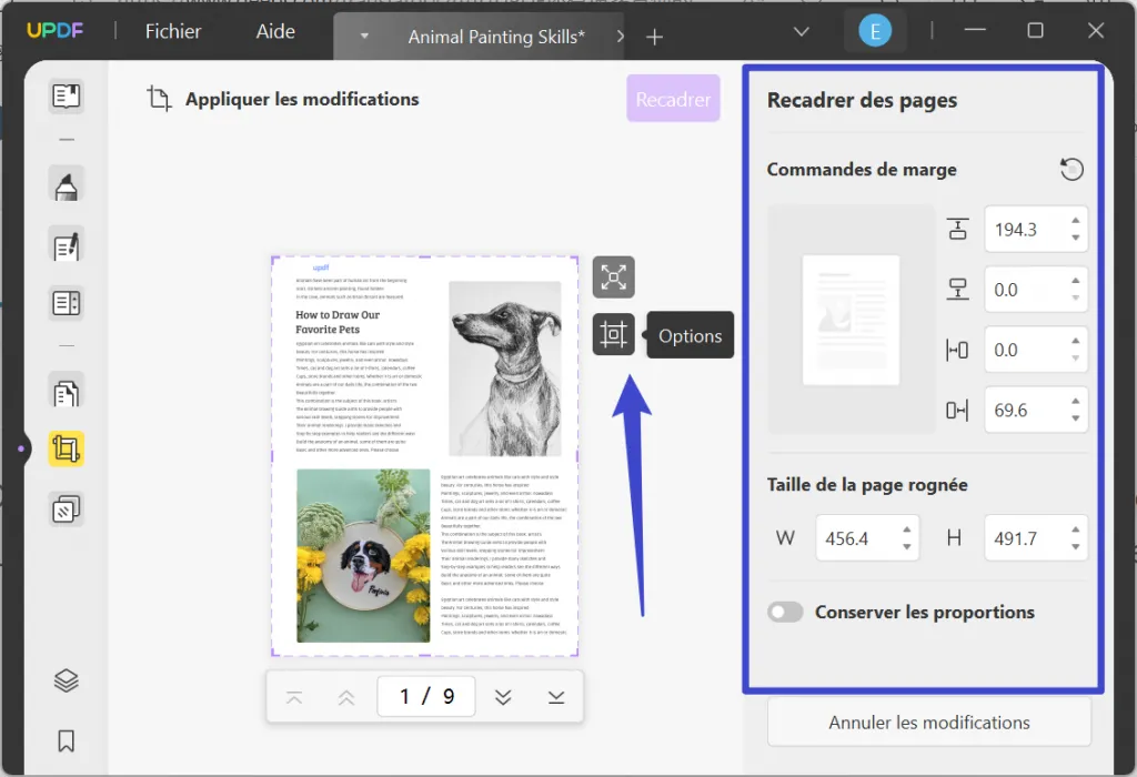 Supprimer l'en-tête et le pied de page d'un PDF