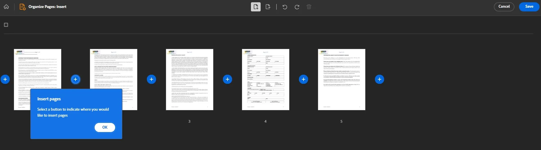 어도비 애크로뱃 플러스 버튼에 페이지를 추가하는 방법