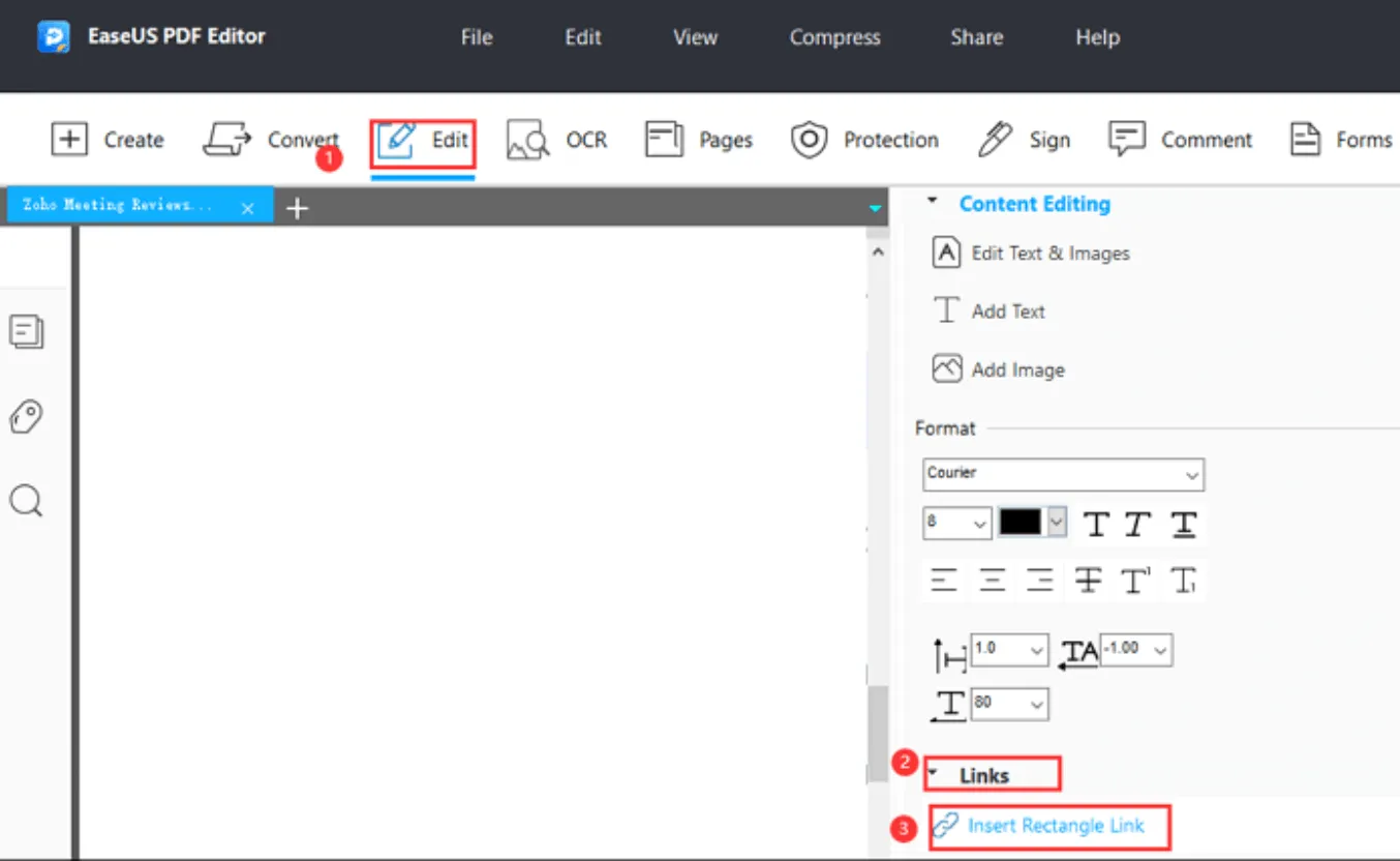 Easeus PDF Link Remover