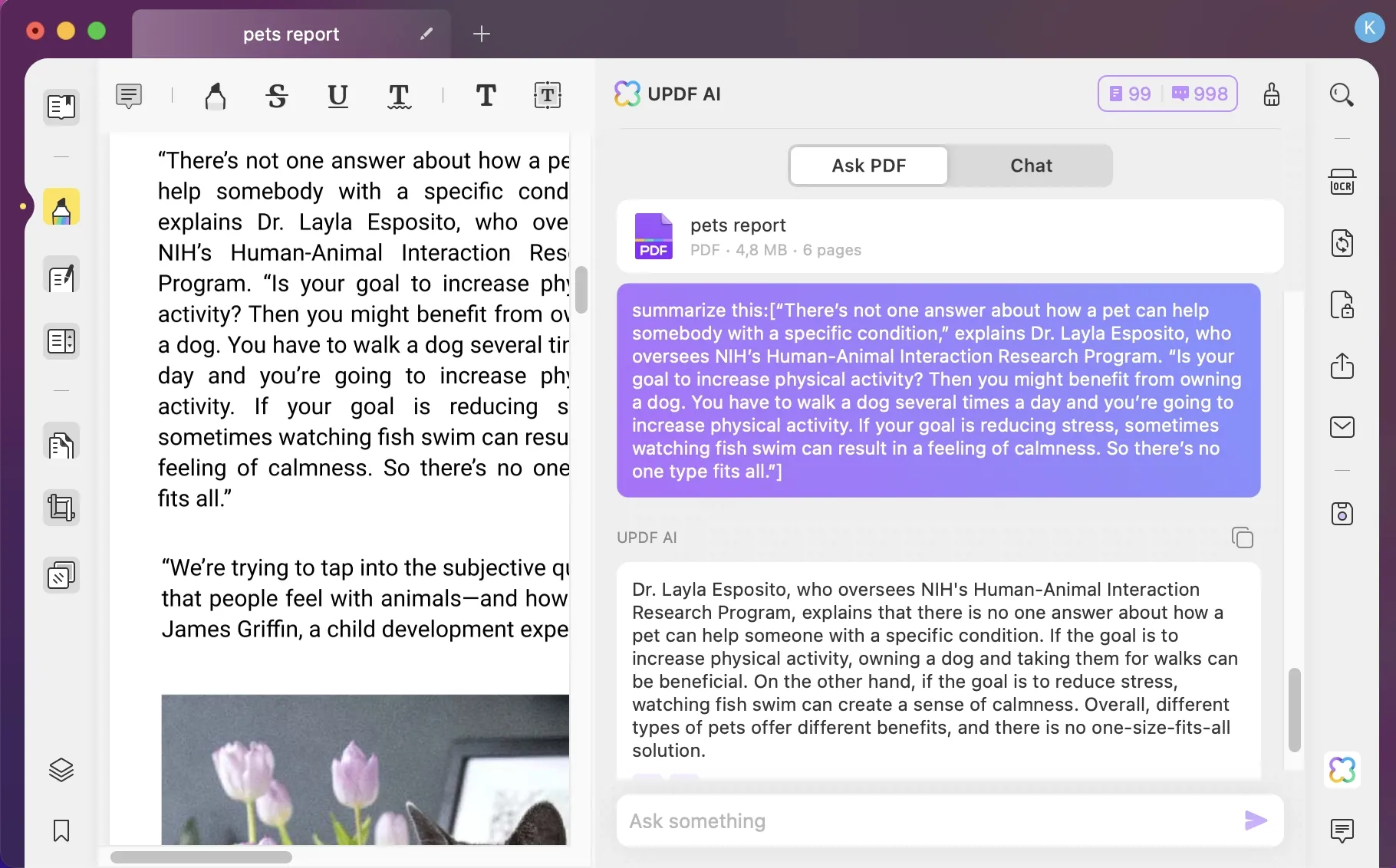mac summarize text updf ai