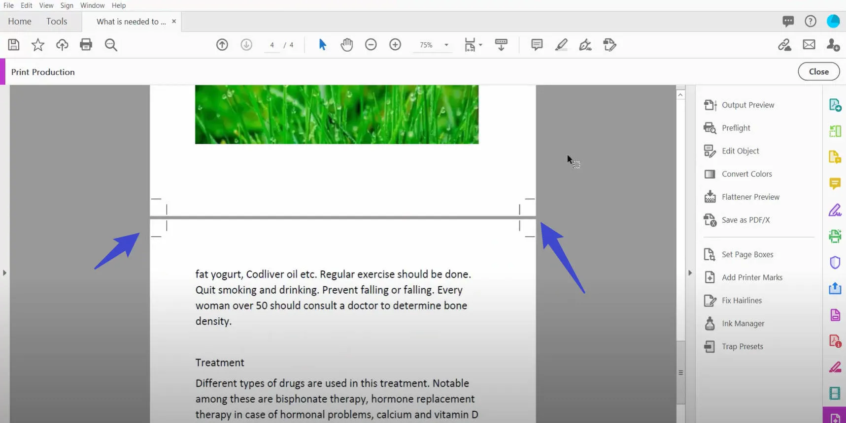 add crop marks in pdf adobe 