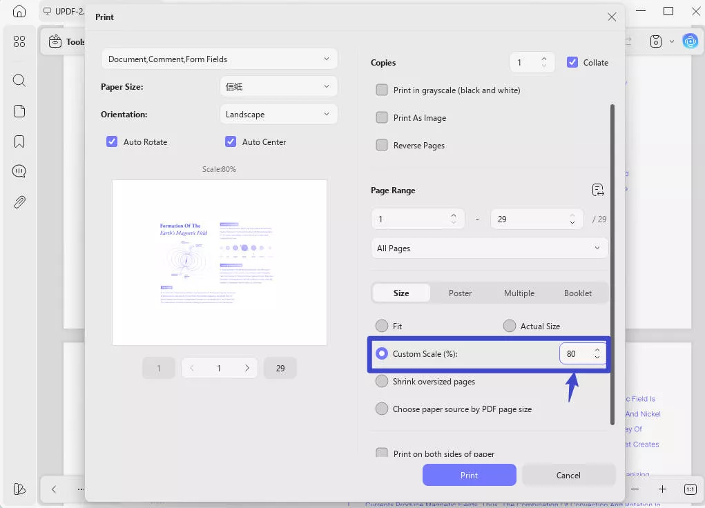 how to print a zoomed in pdf output format