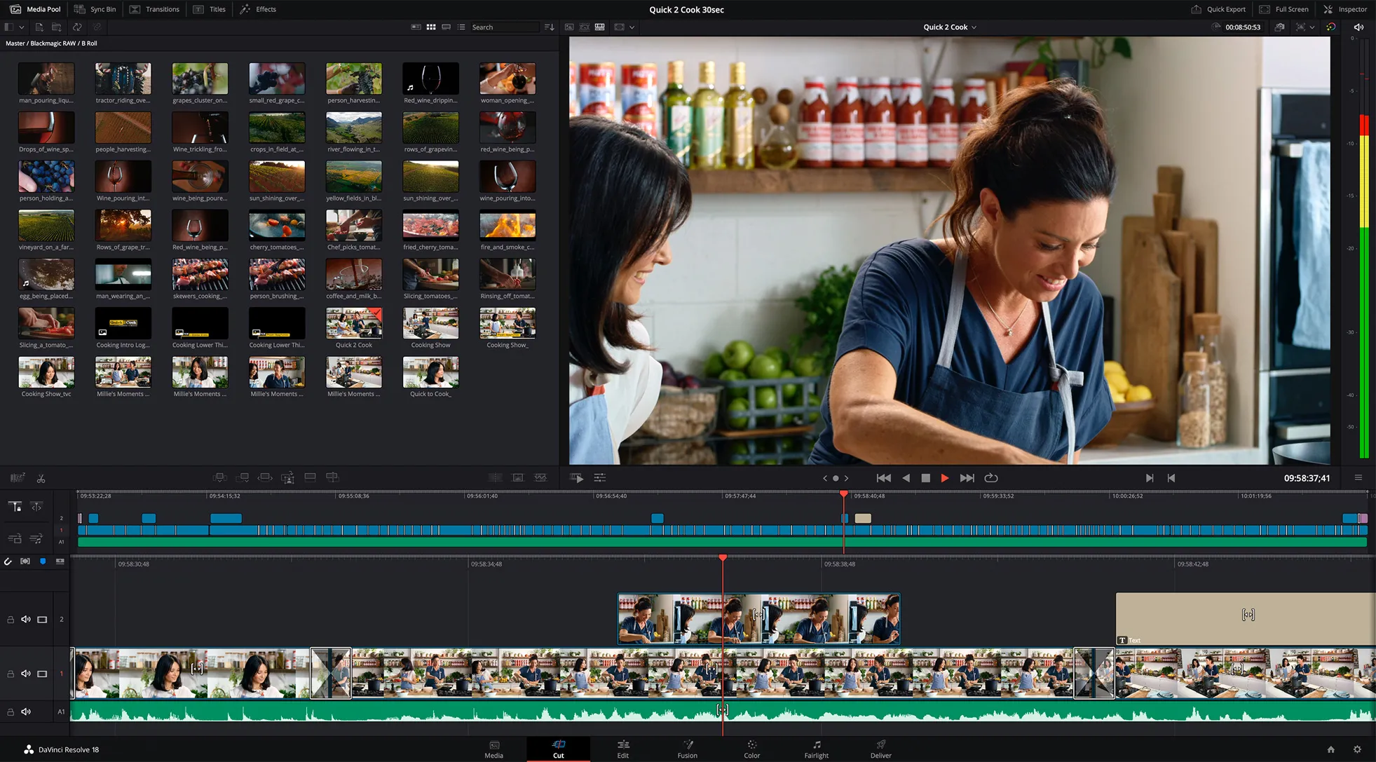 student software davinci resolve