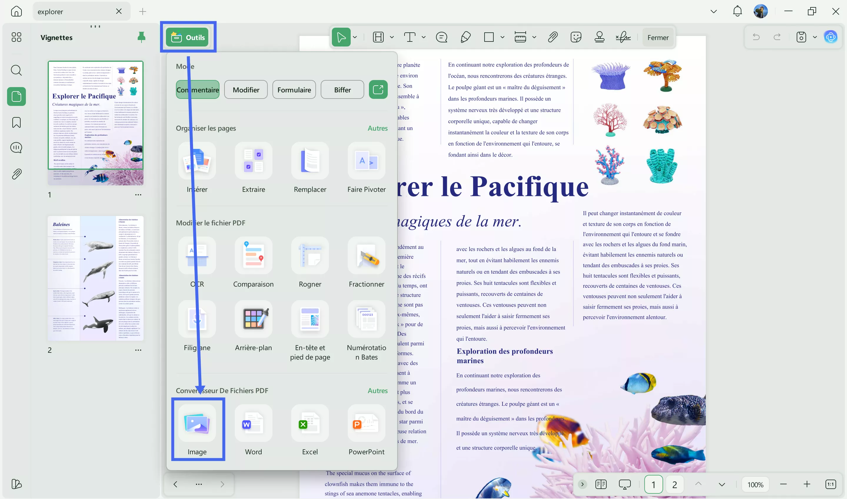 ouvrir un pdf dans paint