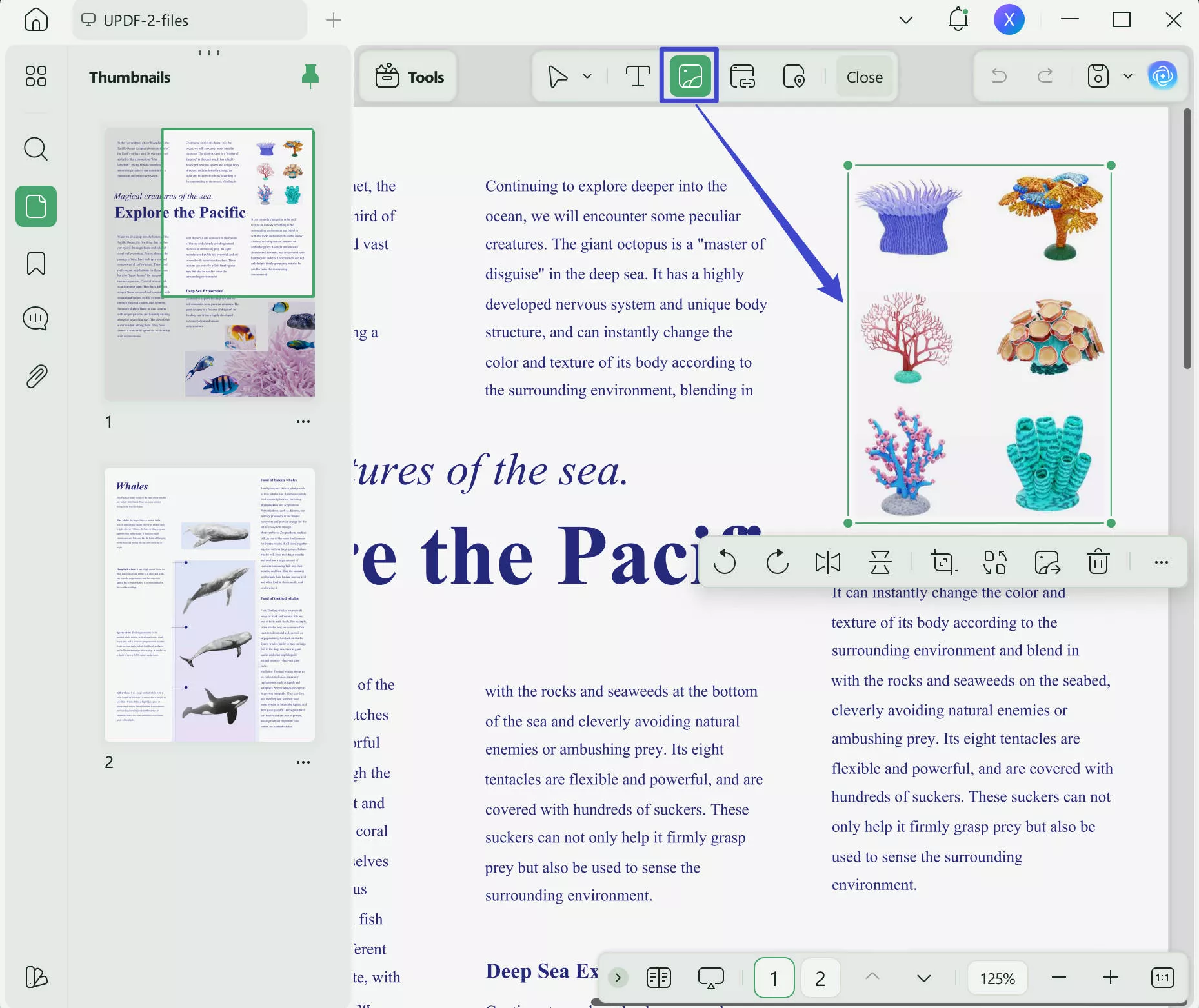 notion to pdf click image