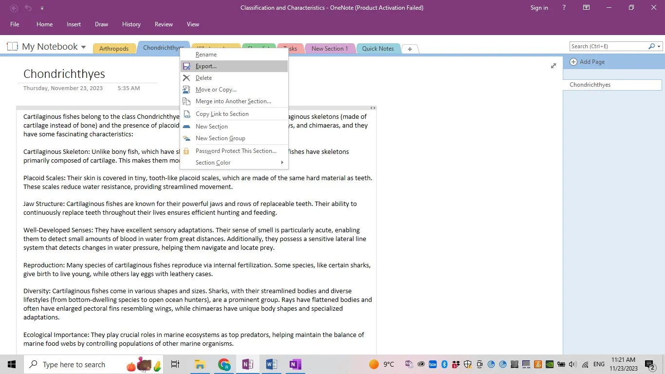 export OneNote to PDF exporting