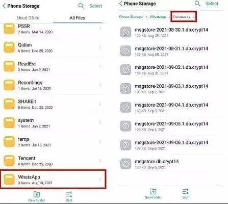 exportar chat whatsapp a pdf datos
