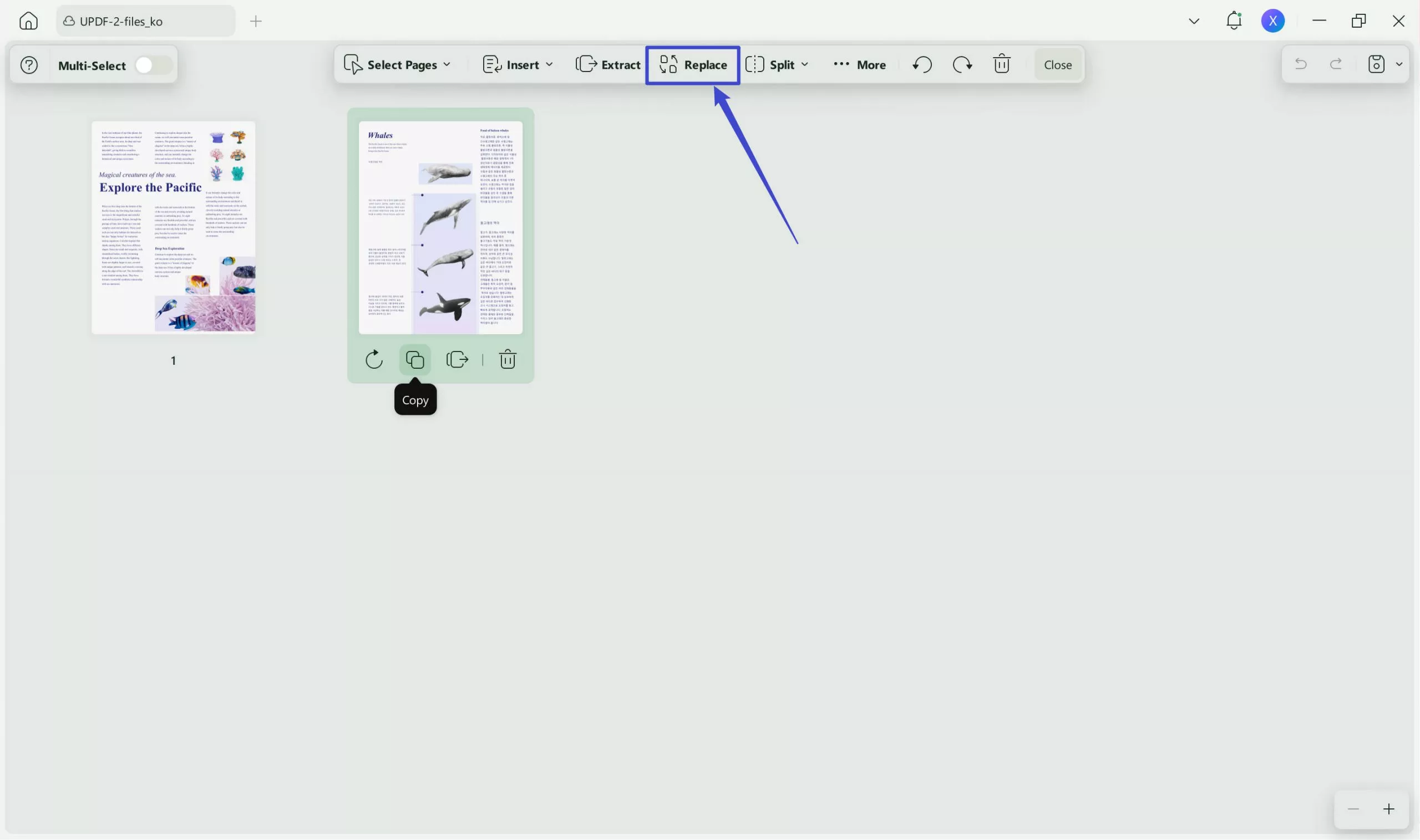 select pages to replace