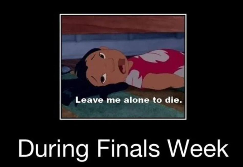 finale memes grappige memes tijdens de finales