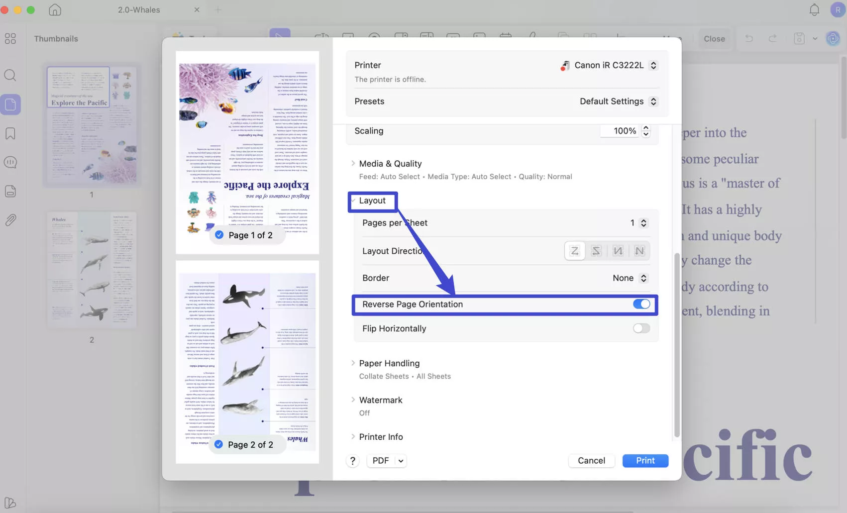 reverse order of pdf pages updf print settings