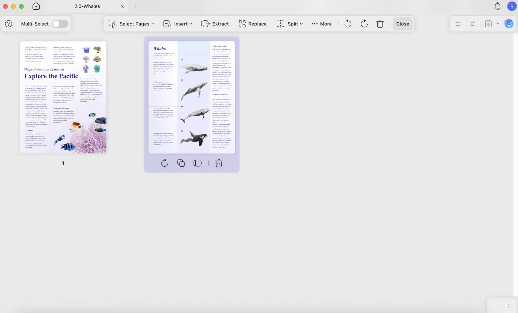 reverse order of pdf pages updf organiza pages