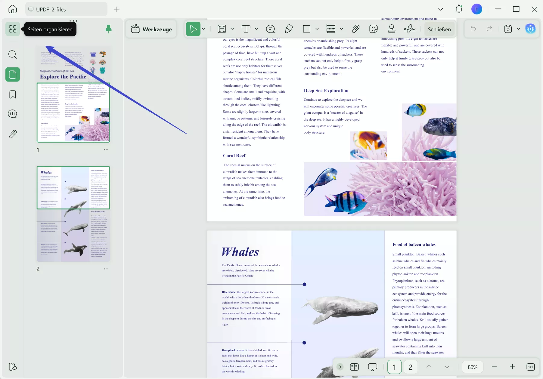 Arabische PDF Seiten organisieren