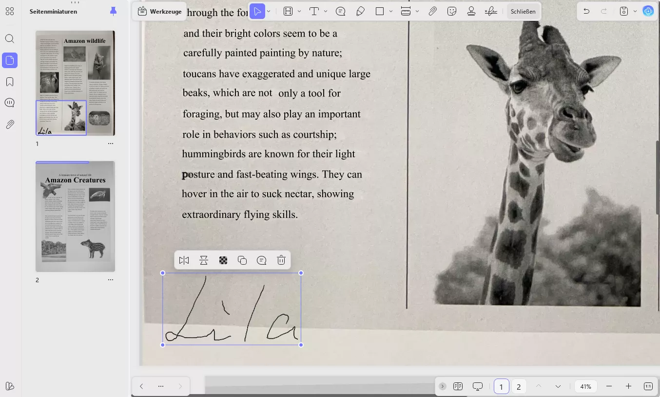 Das Bild in ein beliebiges anderes Dokument Ihrer Wahl einfügen