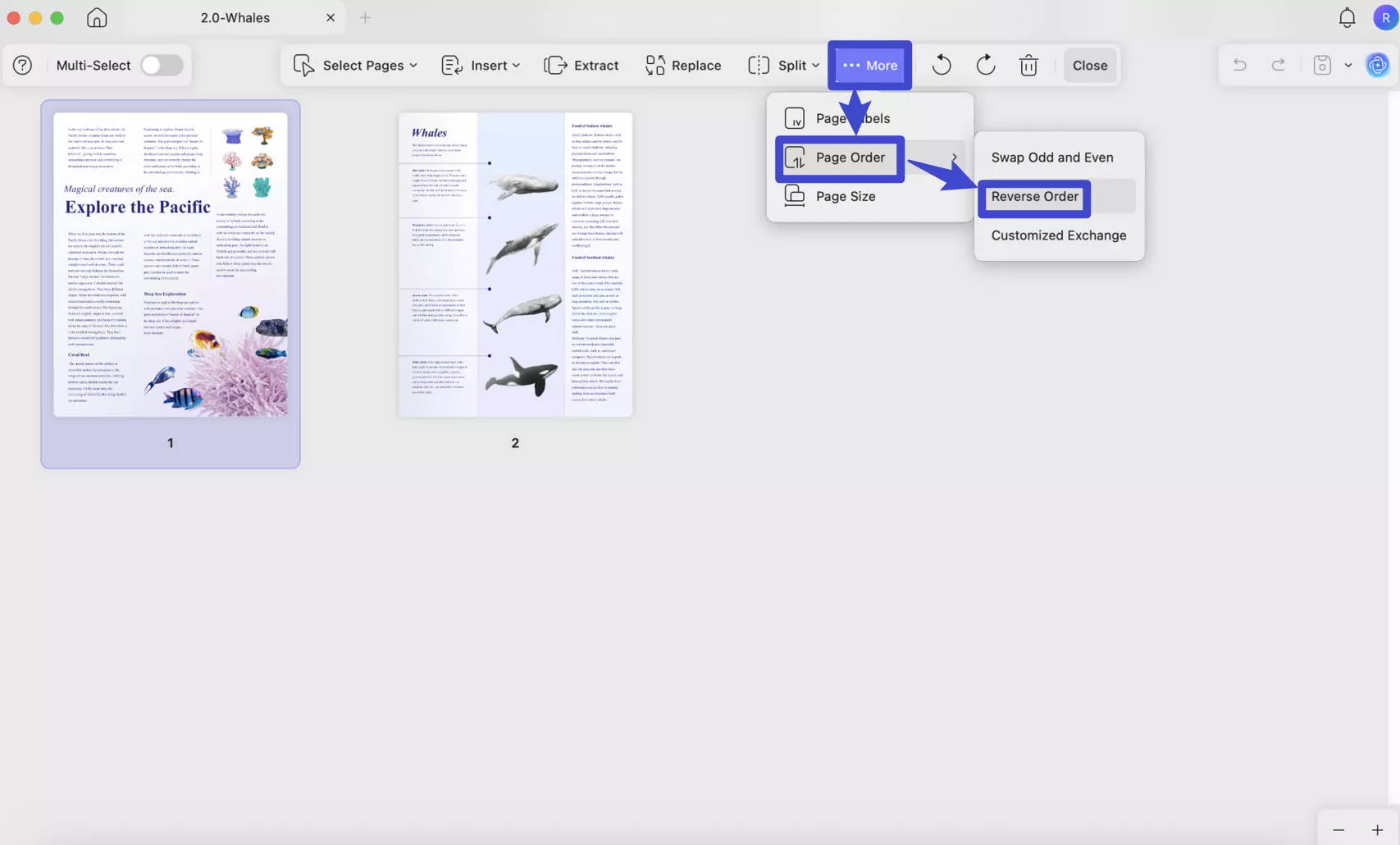 Reverse order of the pages in UPDF on Mac