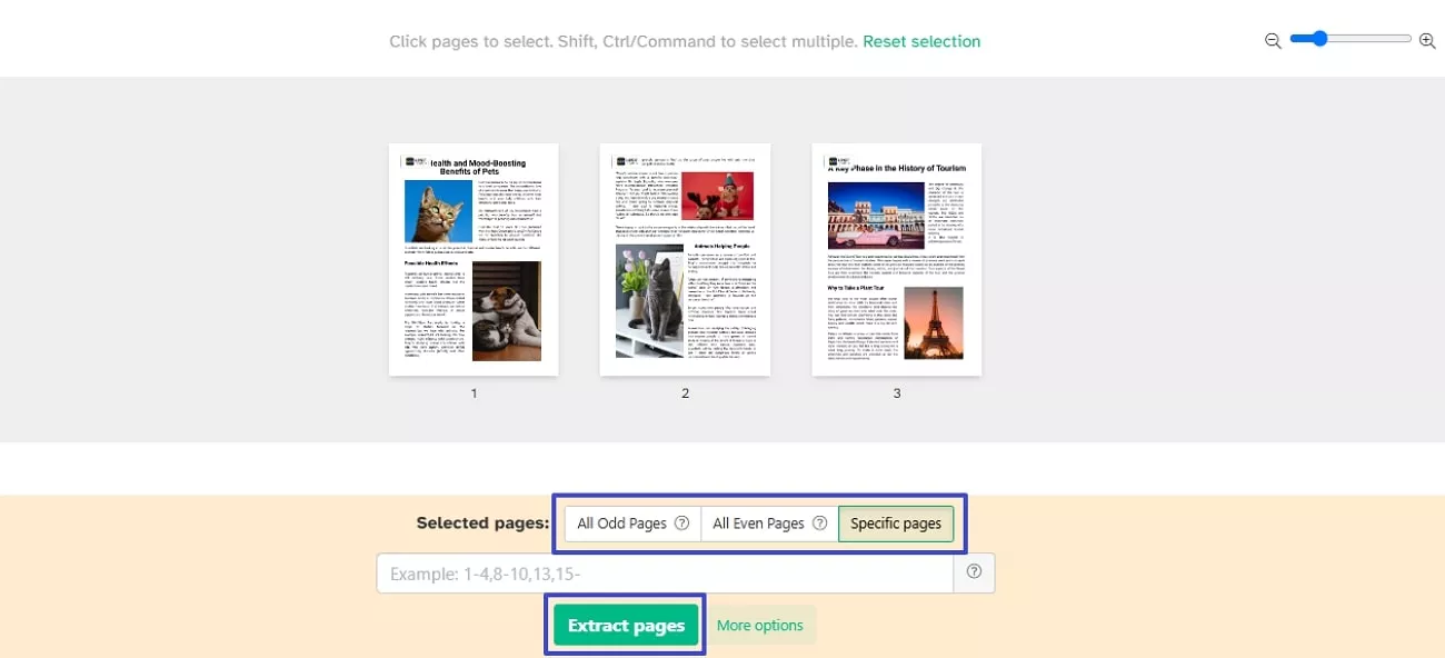 choose extraction settings and execute