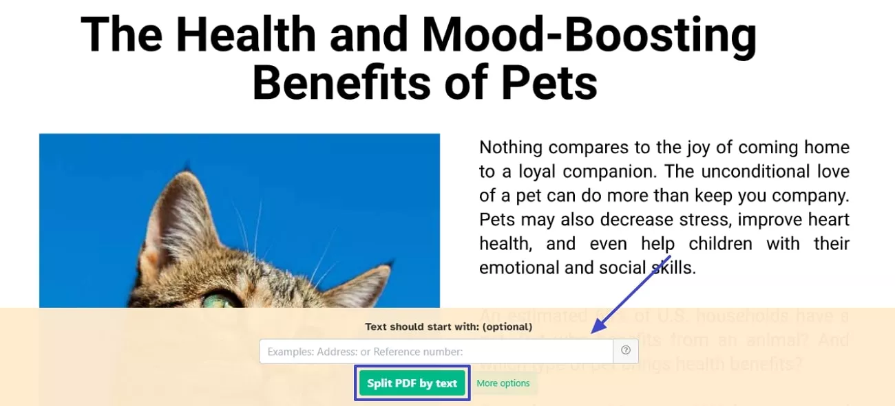 successfully split by text sejda