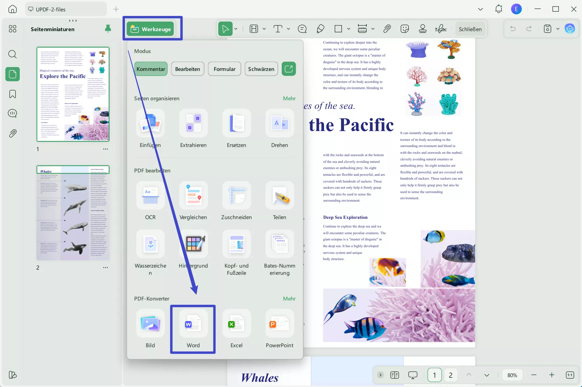 PDF in Word umwandeln