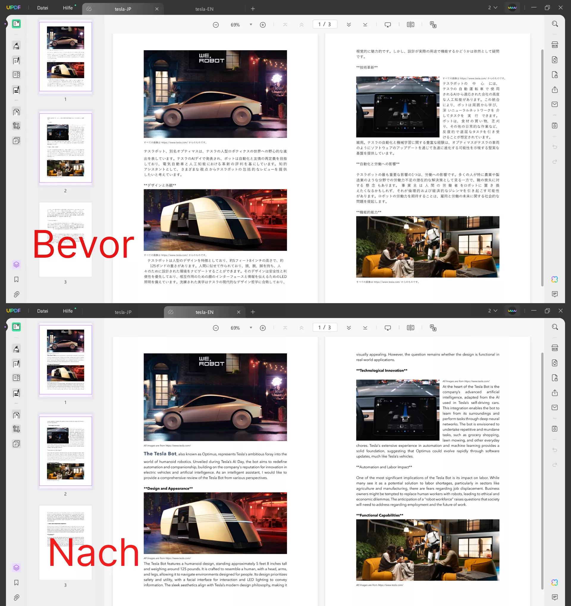 Übersetzen Sie japanisches PDF ins Englische