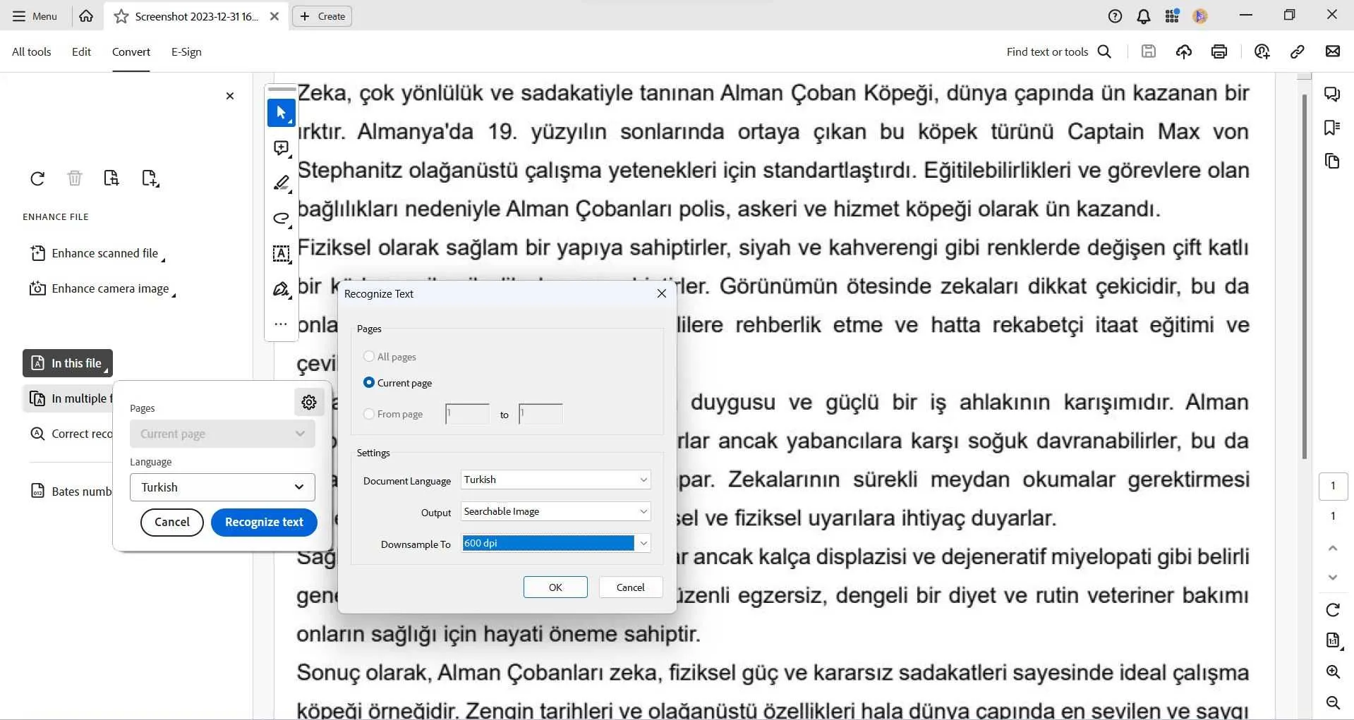 Turkish ocr adobe