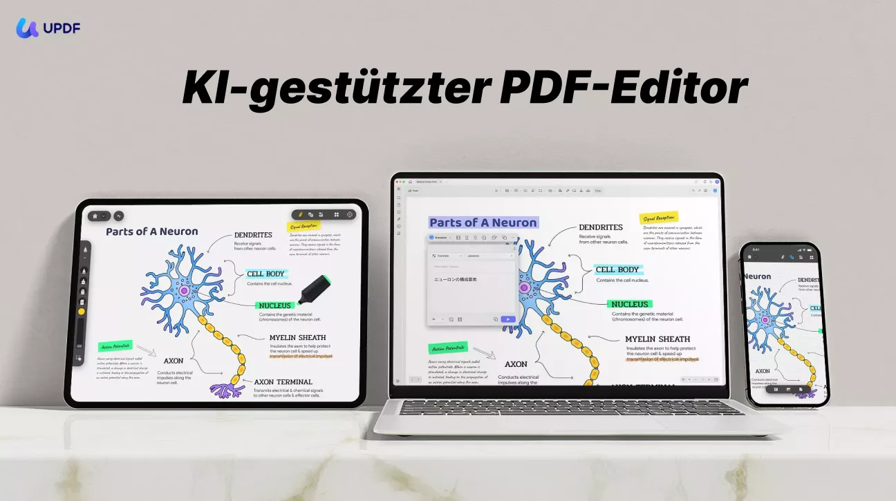 Video in PDF Konverter UPDF