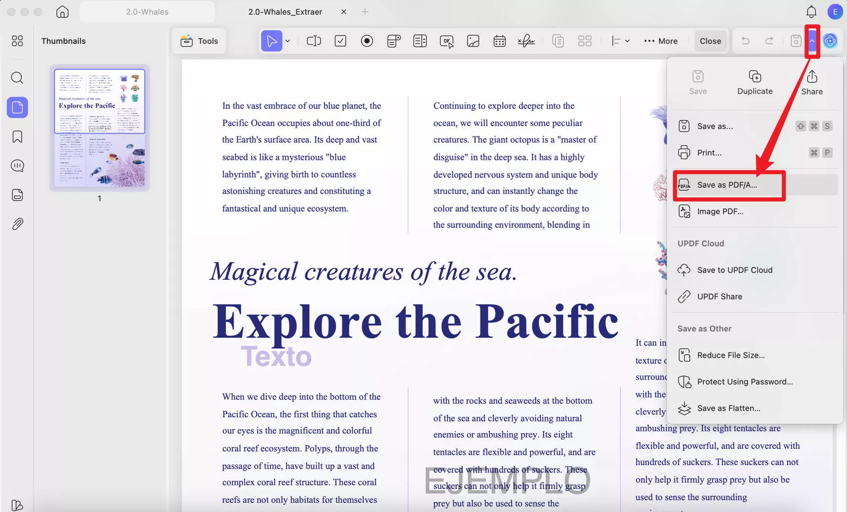 save rtf as pdf updf