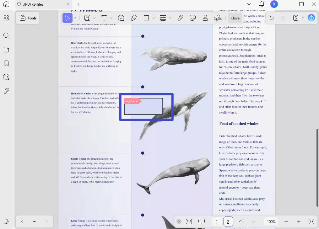 how to sign pdf with cac sign without sign area