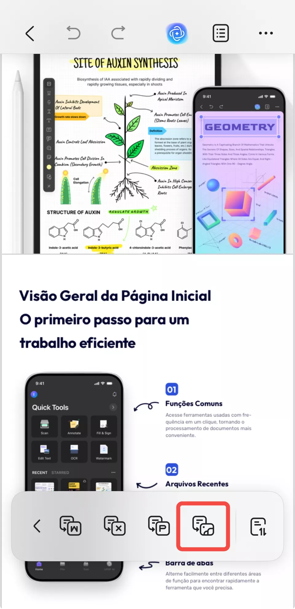 converter pdf para imagem