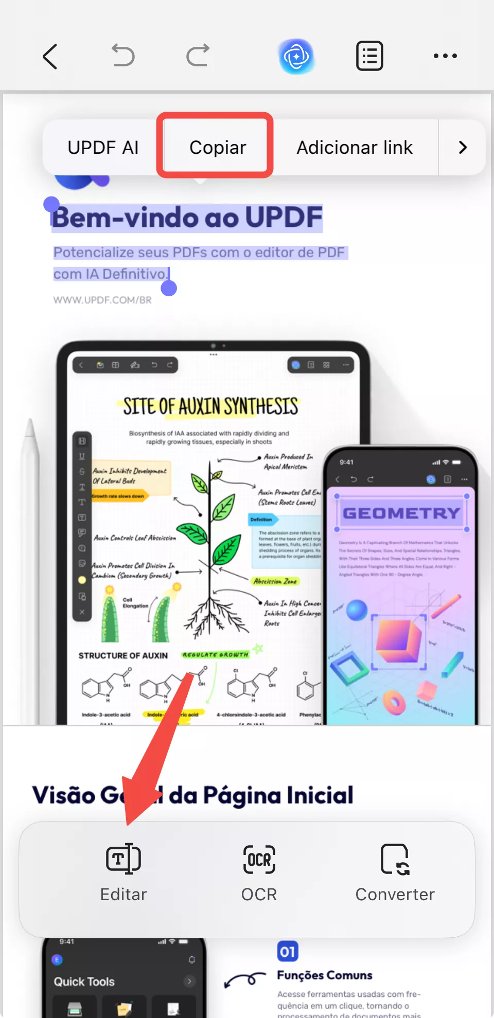 editar pdf e copiar textos