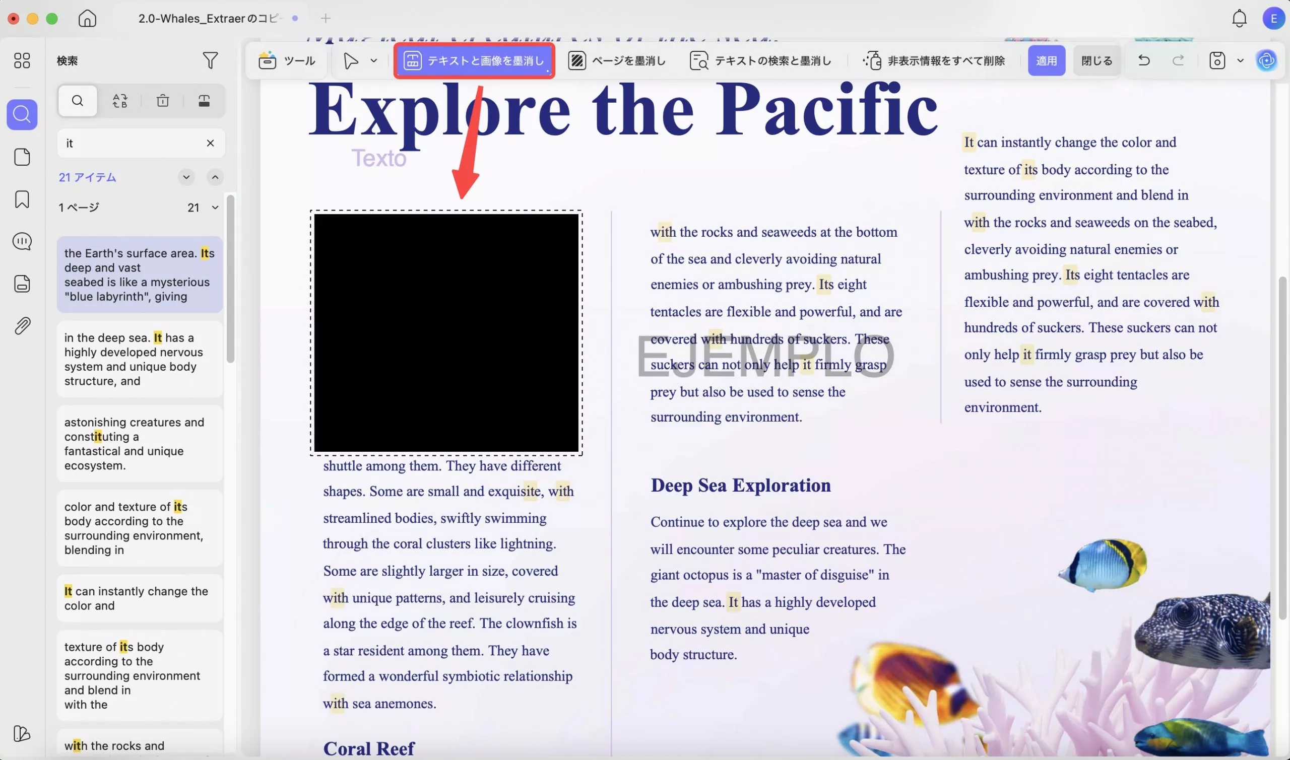 プレビュー表示での墨消し方法 墨消しマーク