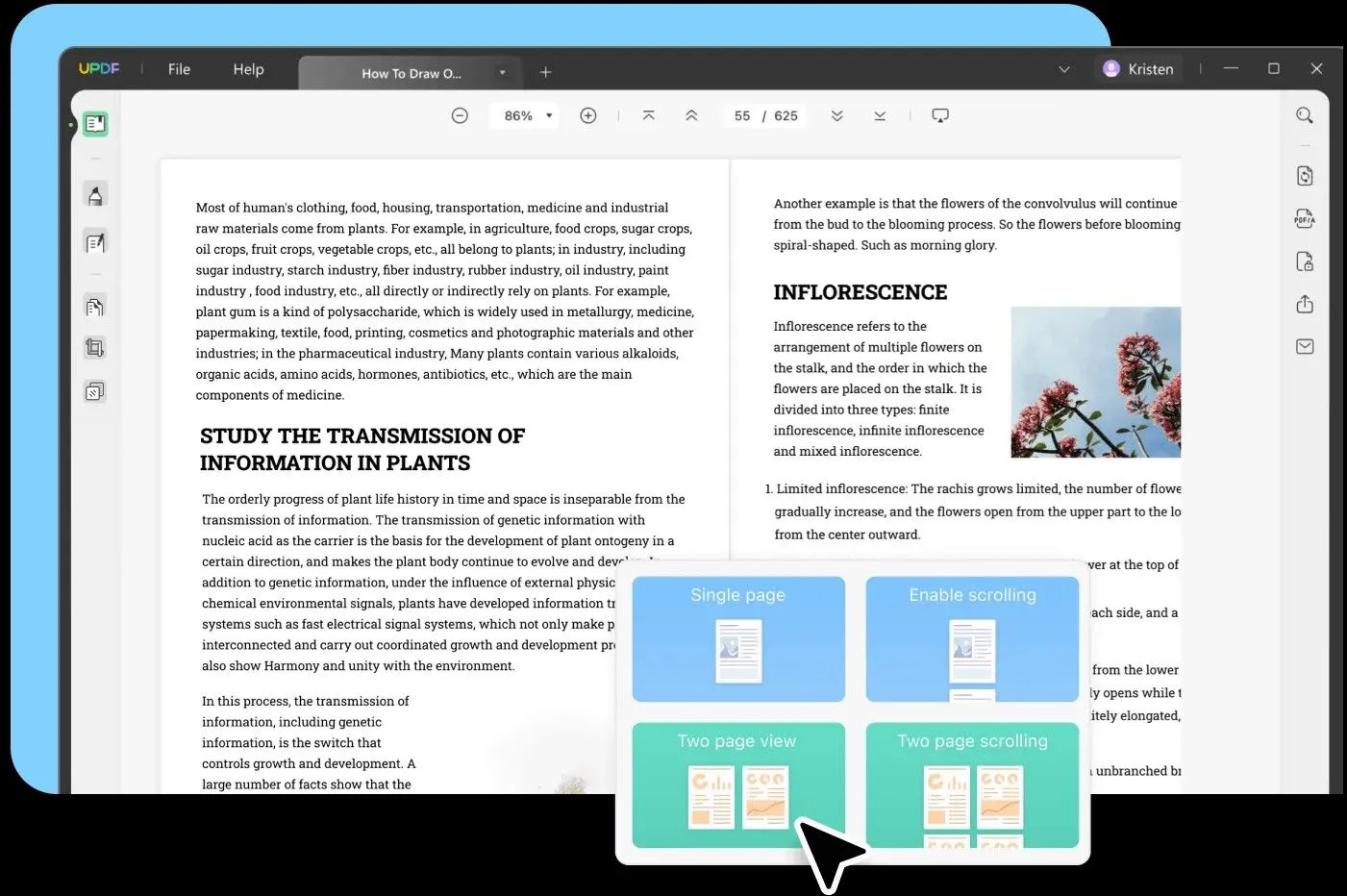 leer pdf en kobo