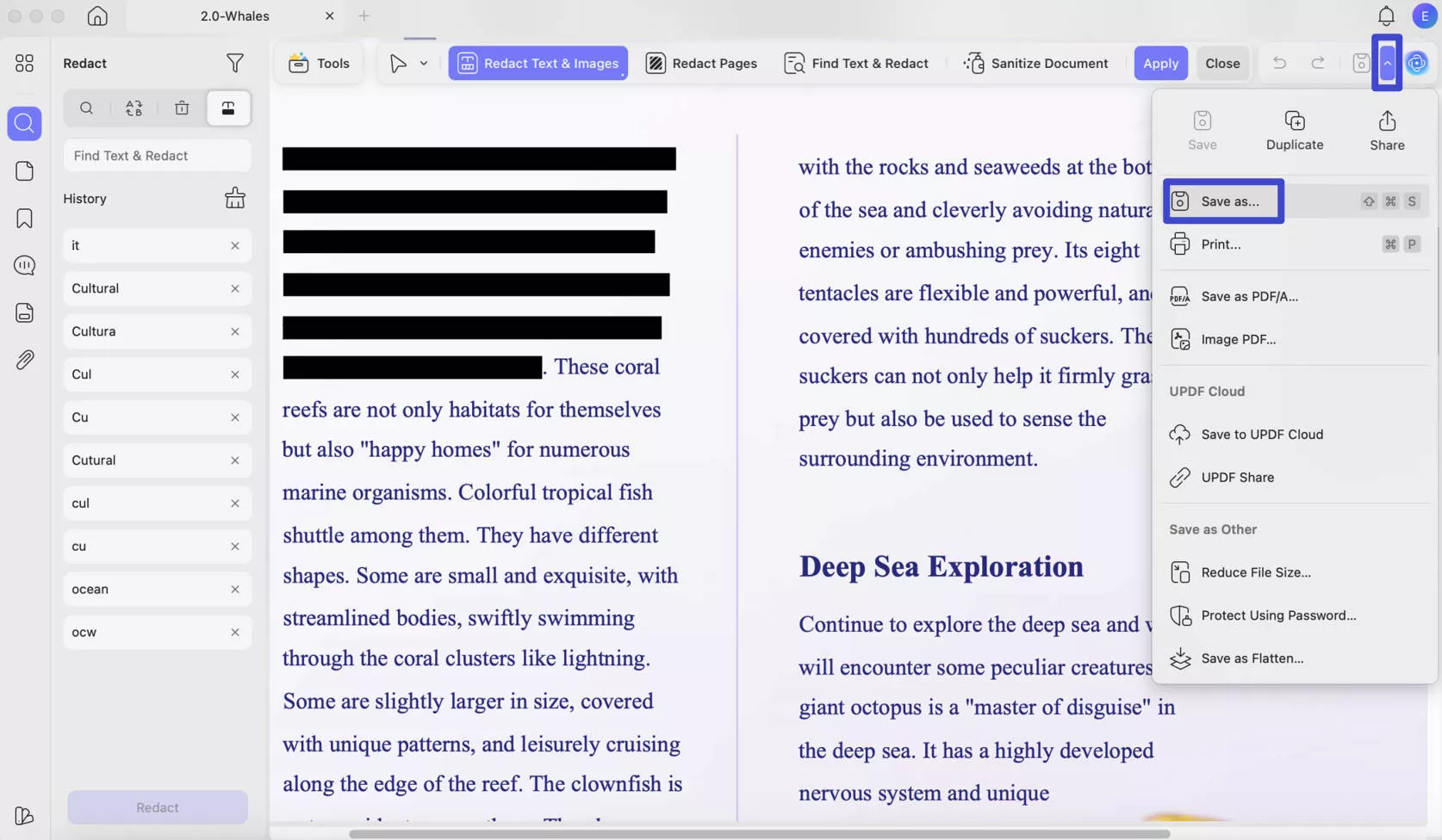 how to redact in preview save as
