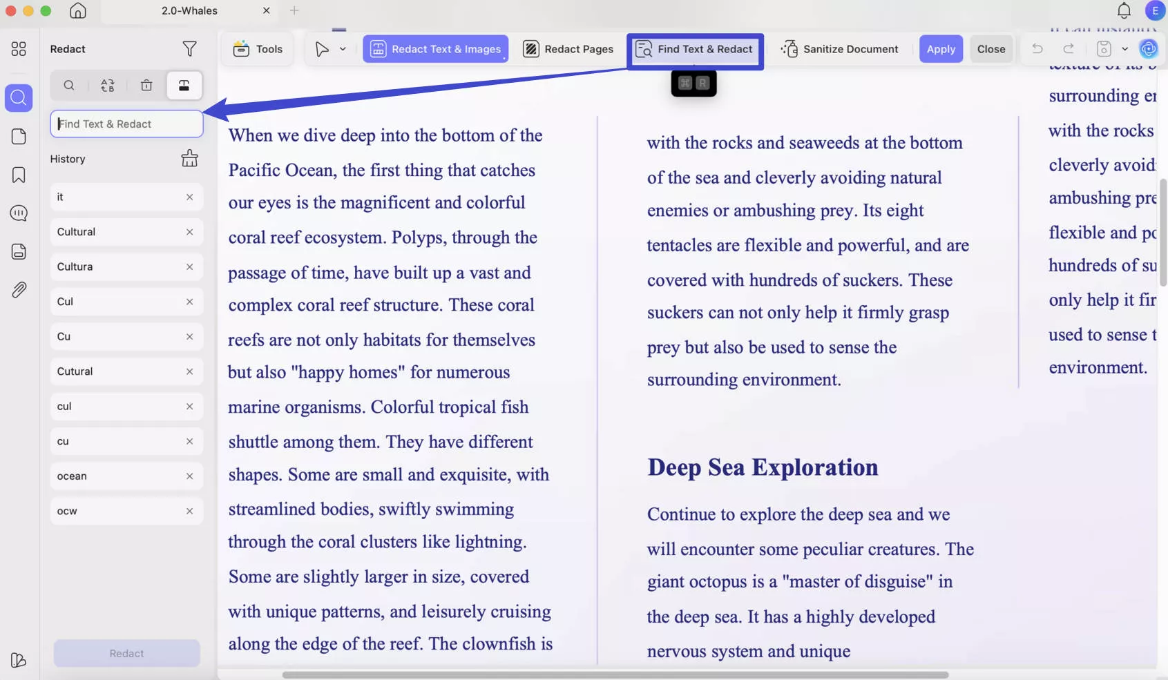 search text to redact