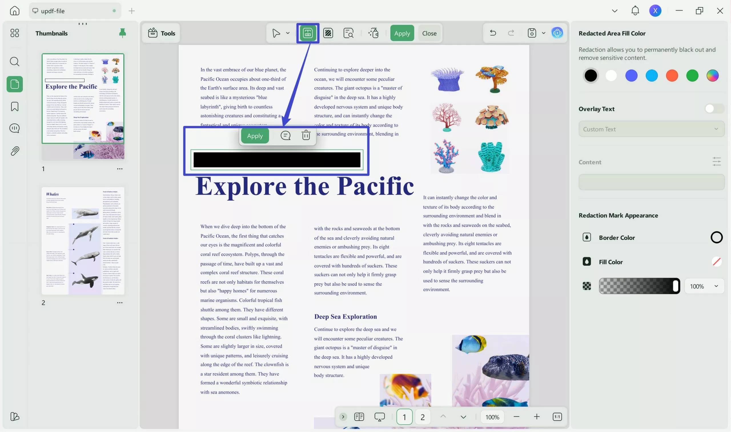 how to mask text in pdf select text