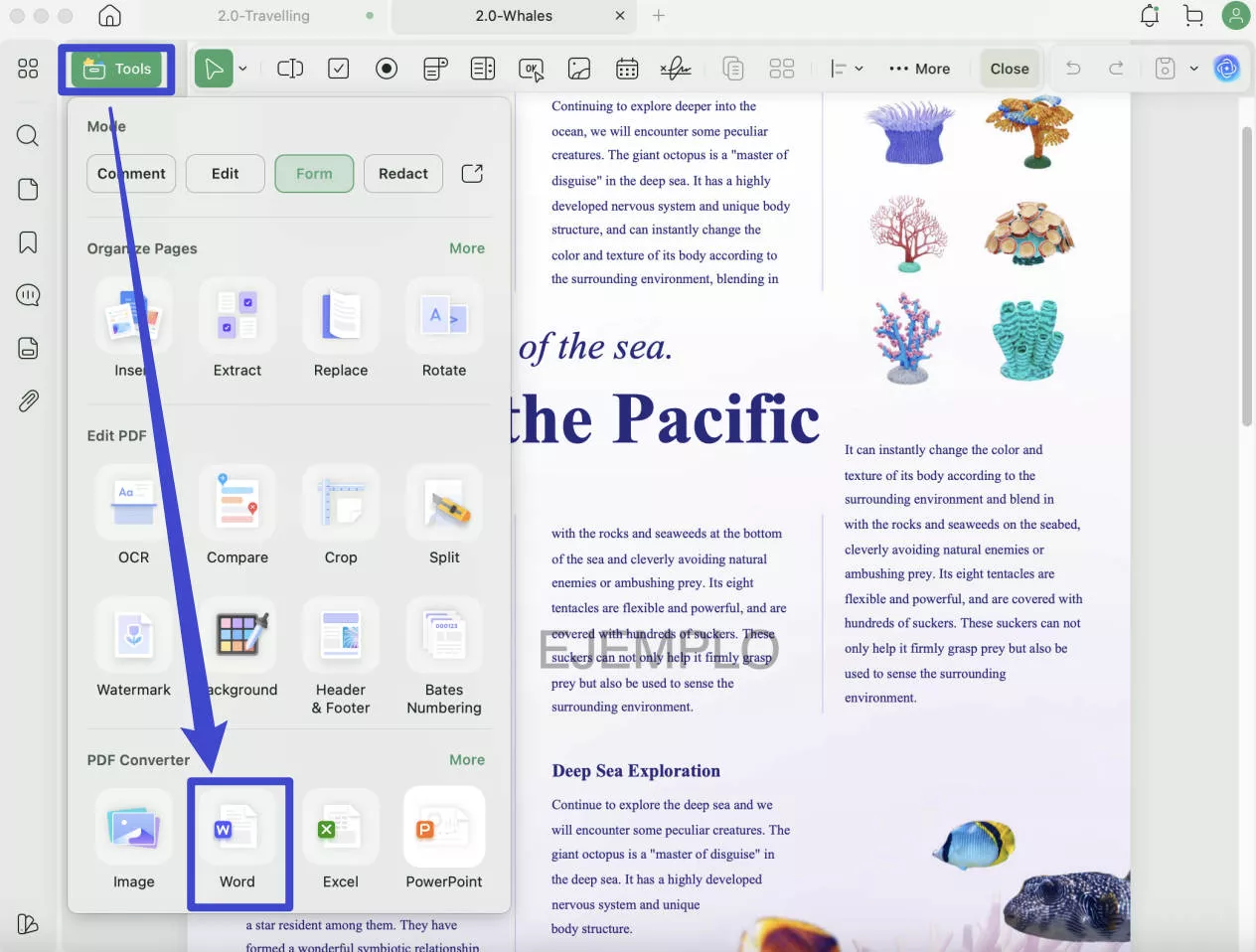convert screenshot to word updf export