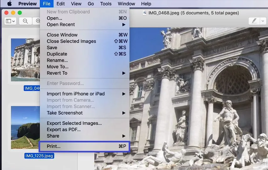 mac preview combine images into pdf Click File and choose Print