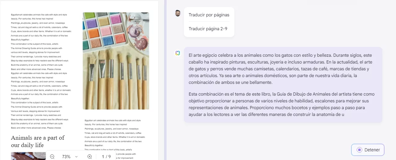 traduccion por paginas