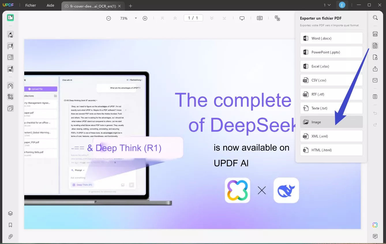 convertir pdf en image